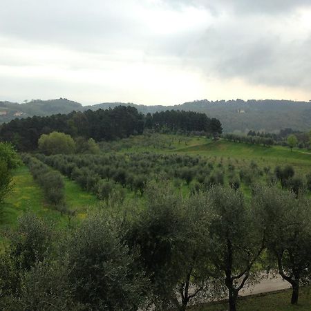 Tenuta Gaetano Spadaro Capannori Luaran gambar