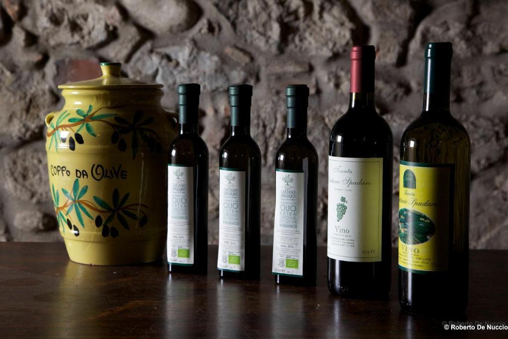 Tenuta Gaetano Spadaro Capannori Luaran gambar